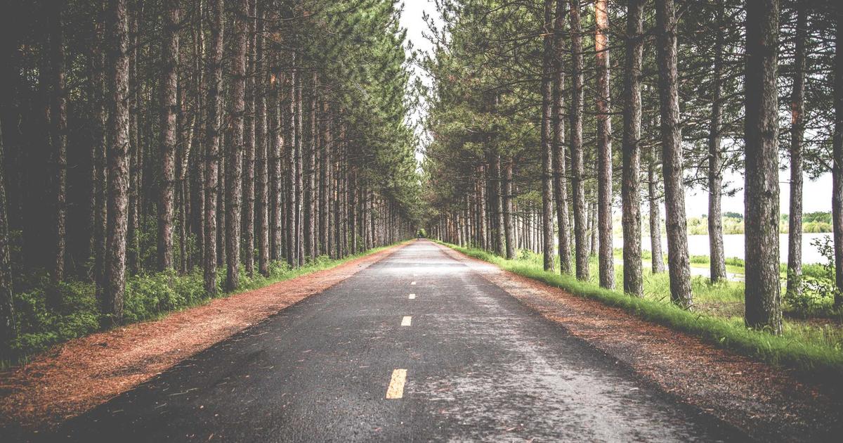 Boost Your WordPress SEO: A 90-Day Affiliate Blogger Plan
