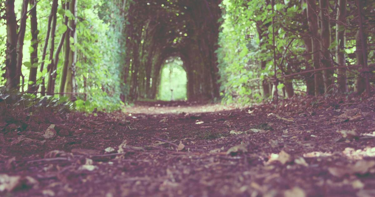 Ranking Low Competition Keywords Quickly: A Weekly Workflow for Agencies