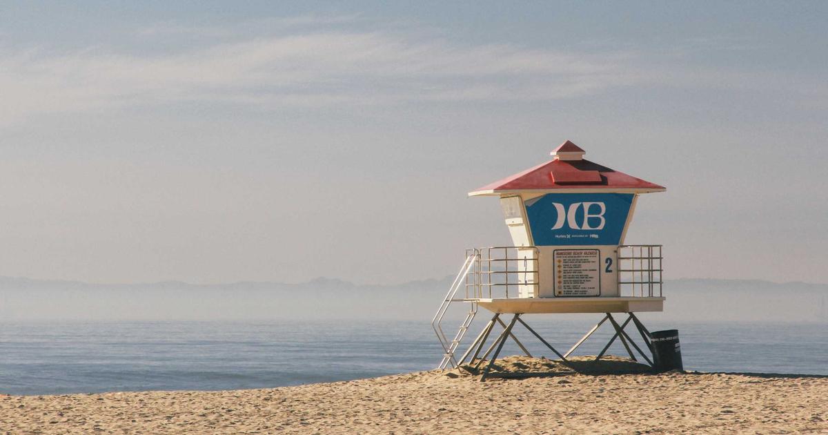 A Beginner’s Guide to Schema Markup in WordPress: Scaling Publishing Safely on a New Domain