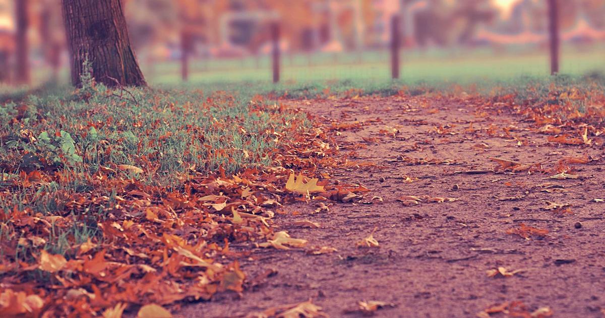 Creating a WordPress Content Calendar for Affiliate Blogs: A Step-by-Step Playbook for Beginners