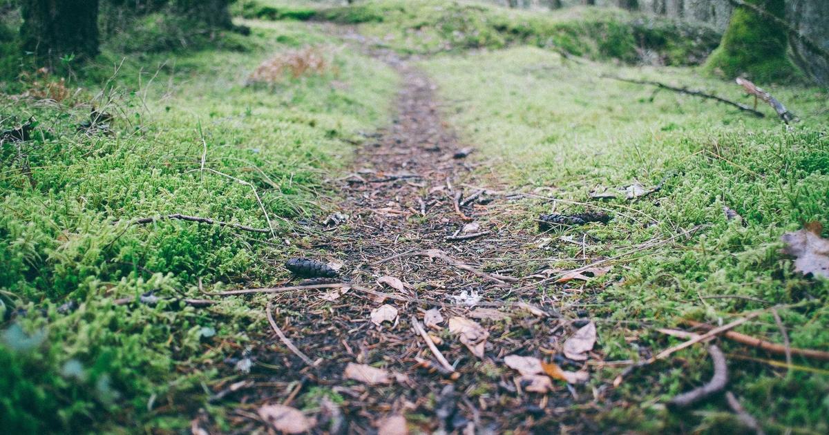 Silo Structure for WordPress Content: Boosting Ecommerce Brand Authority
