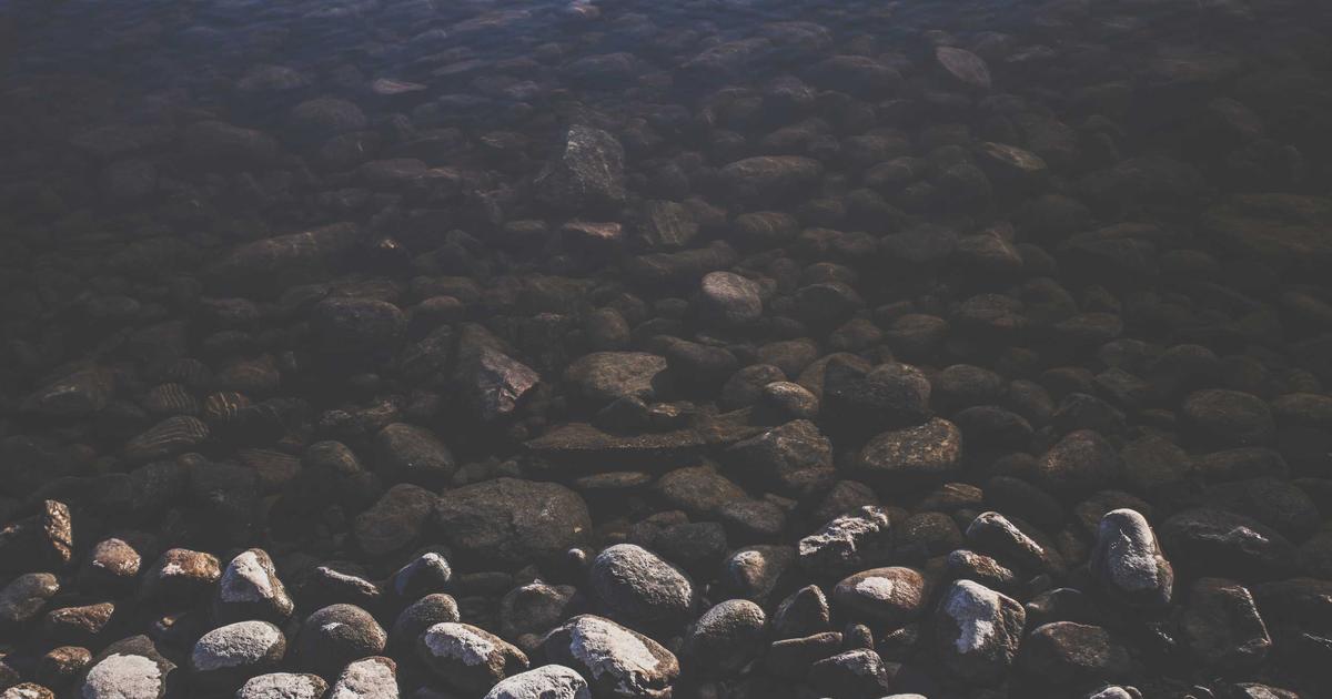 Mastering Canonical Tags in WordPress