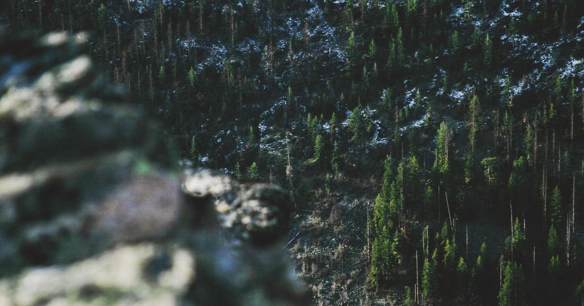 Optimizing Orphan Pages in WordPress for Local Businesses
