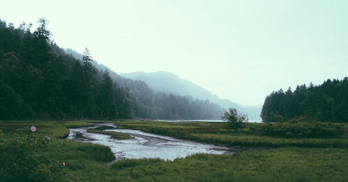 XML Sitemap Best Practices for WordPress: Improving Core Web Vitals in Competitive Niches for Beginners Using Rank Math