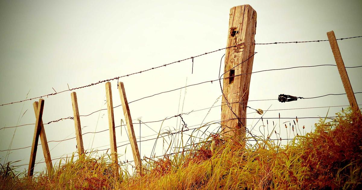 Migrating to HTTPS in WordPress: A Checklist for Local Businesses to Boost Rankings