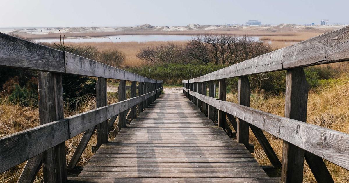 Boosting WordPress Traffic: A Local Business Guide to Bing Webmaster Tools and AI-Optimized Workflows
