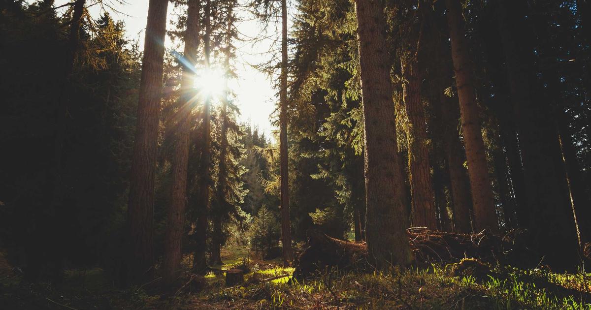 Boosting Conversions on Niche Sites: A SaaS Team’s Guide to Linkable Asset Ideas