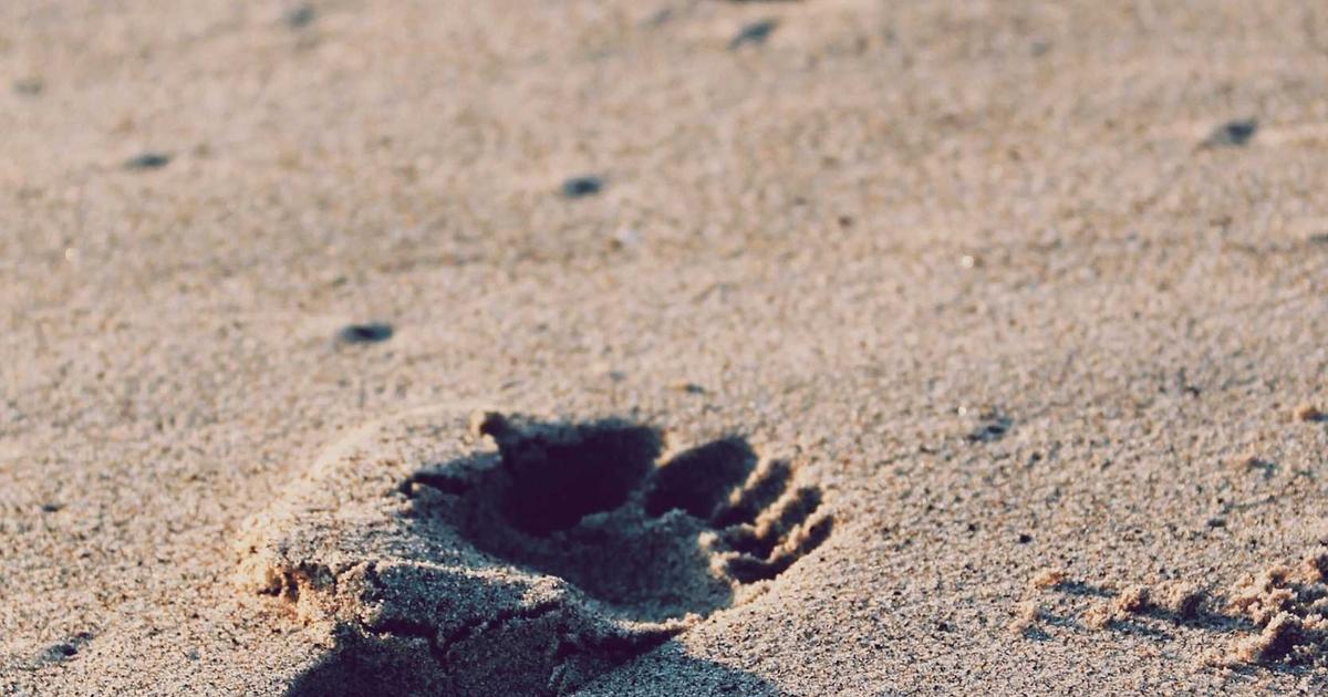 Boosting Click-Through Rates with UX Improvements: A Framework for Affiliate Bloggers