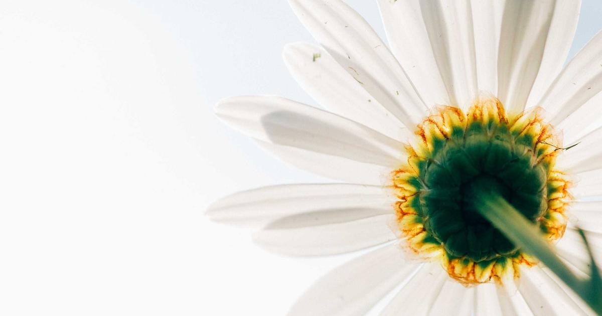 Optimizing AI-Generated Content: A Step-by-Step Guide for Growing Organic Traffic