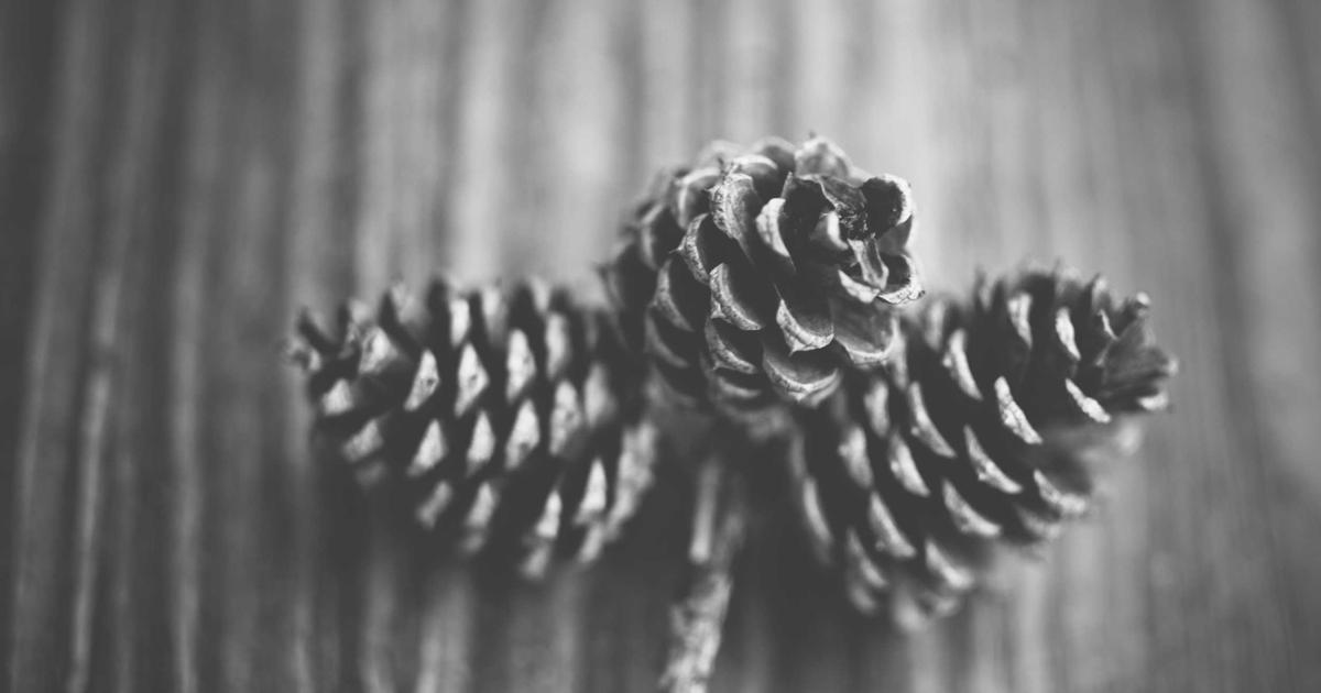 Optimizing AI-Powered Content: A Step-by-Step Guide to Editing and Improving Core Web Vitals