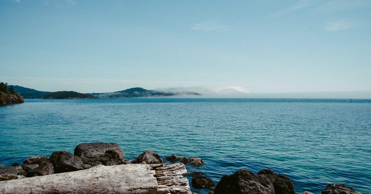 Optimizing WordPress Publishing for Agencies: Scaling Safely on New Domains