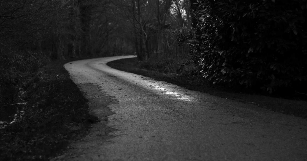 Annual SEO Roadmap for Content Sites: A Case-Study Guide for SaaS Teams