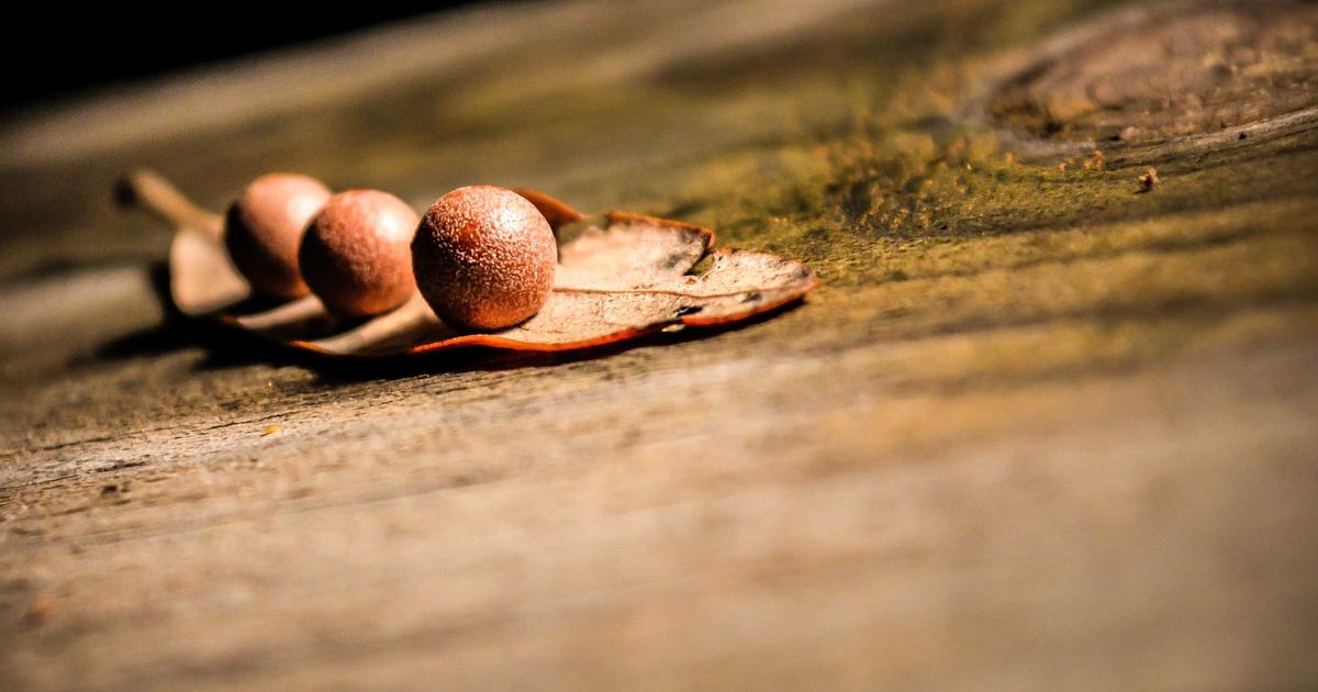 Scaling Blog Publishing Safely on a New Domain: A Weekly Workflow to Reduce Pogo Sticking