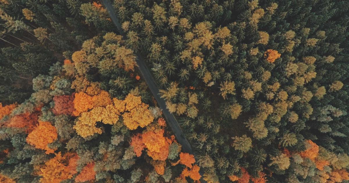 Scaling Publishing Safely on WordPress: A Weekly Workflow for Agencies