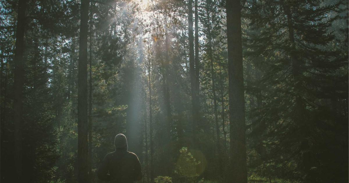 Mastering Cloudflare Settings for WordPress SEO: A Weekly Workflow for Agencies