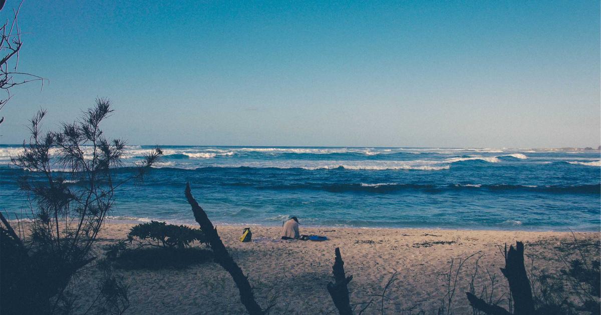 Building Topical Authority on a New Domain: A Weekly Workflow for Agencies