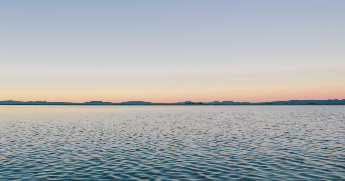Streamlining WordPress Category Architecture for Agency Scalability