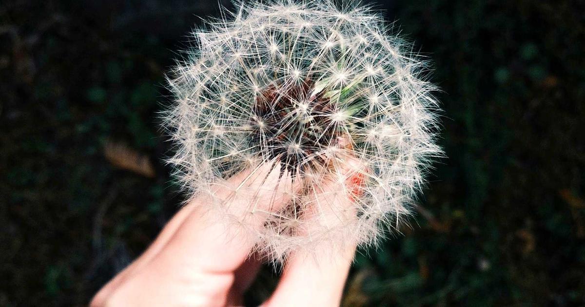 Scaling Content Publishing with a Competitor Content Teardown