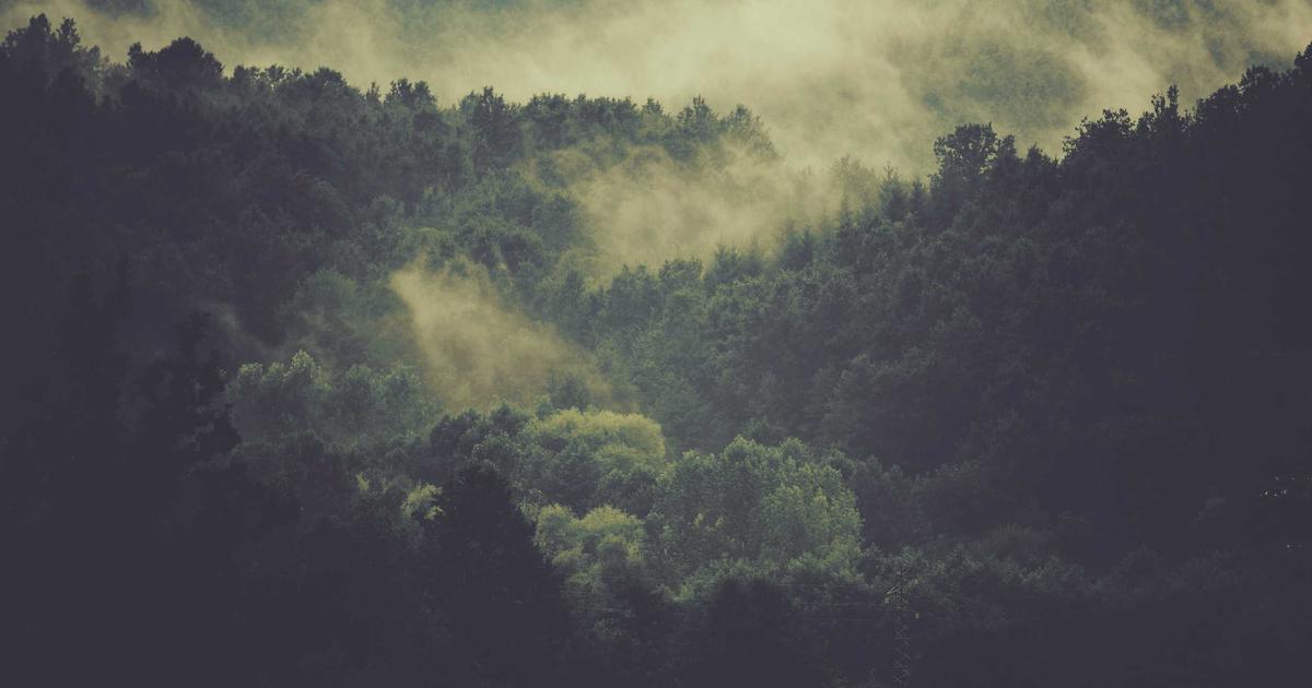 Optimizing WordPress Content for Better Core Web Vitals through
